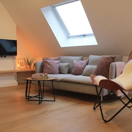 Charming With Cathedral View! On The 4th Floor Antwerpia